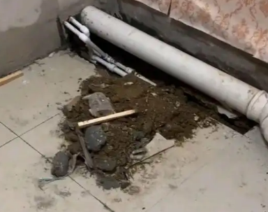 中宁卫生间漏水检测哪家好