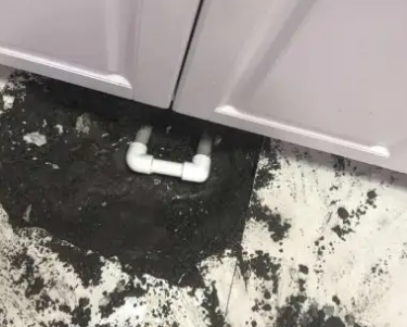 中宁查漏水哪家好